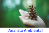 Curso de Analista ambiental