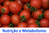 Curso de Nutrição e Metabolismo